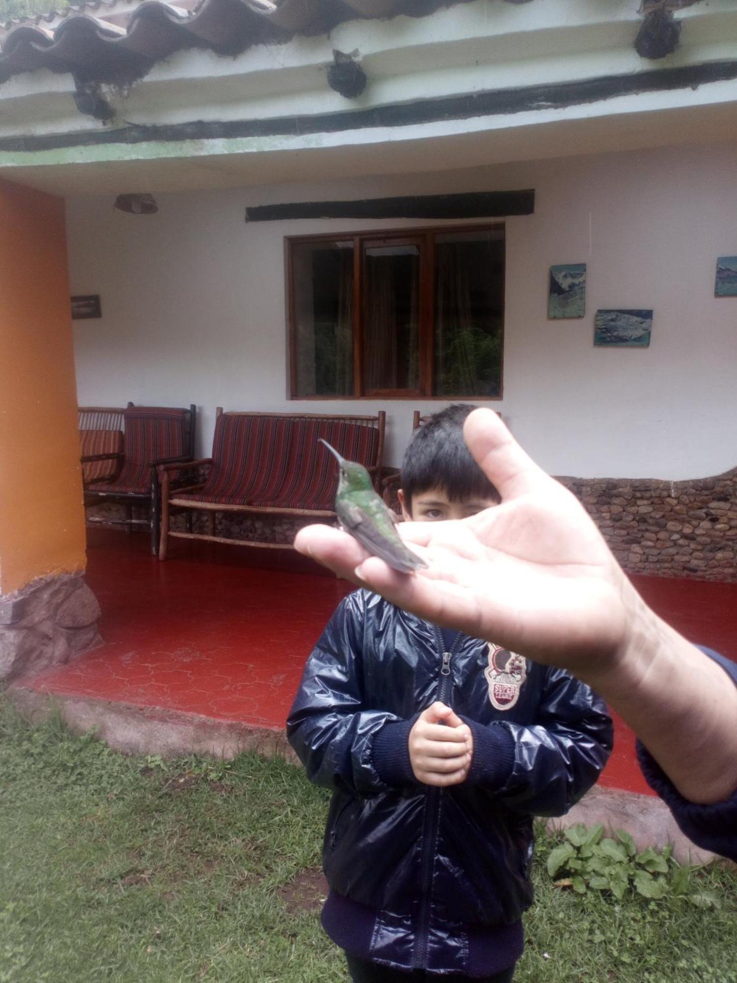 Ecolodge Ccatan 乌鲁班巴 外观 照片