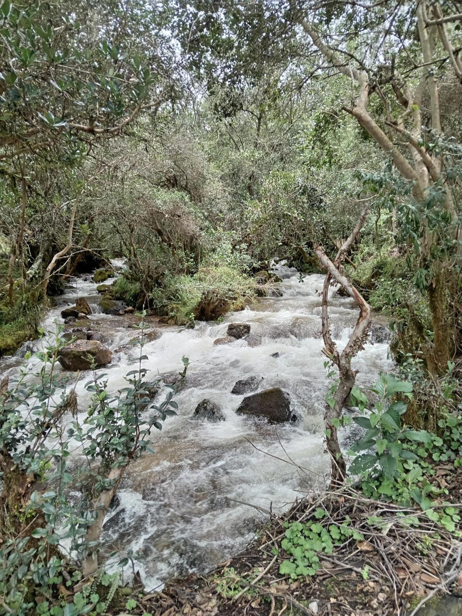 Ecolodge Ccatan 乌鲁班巴 外观 照片