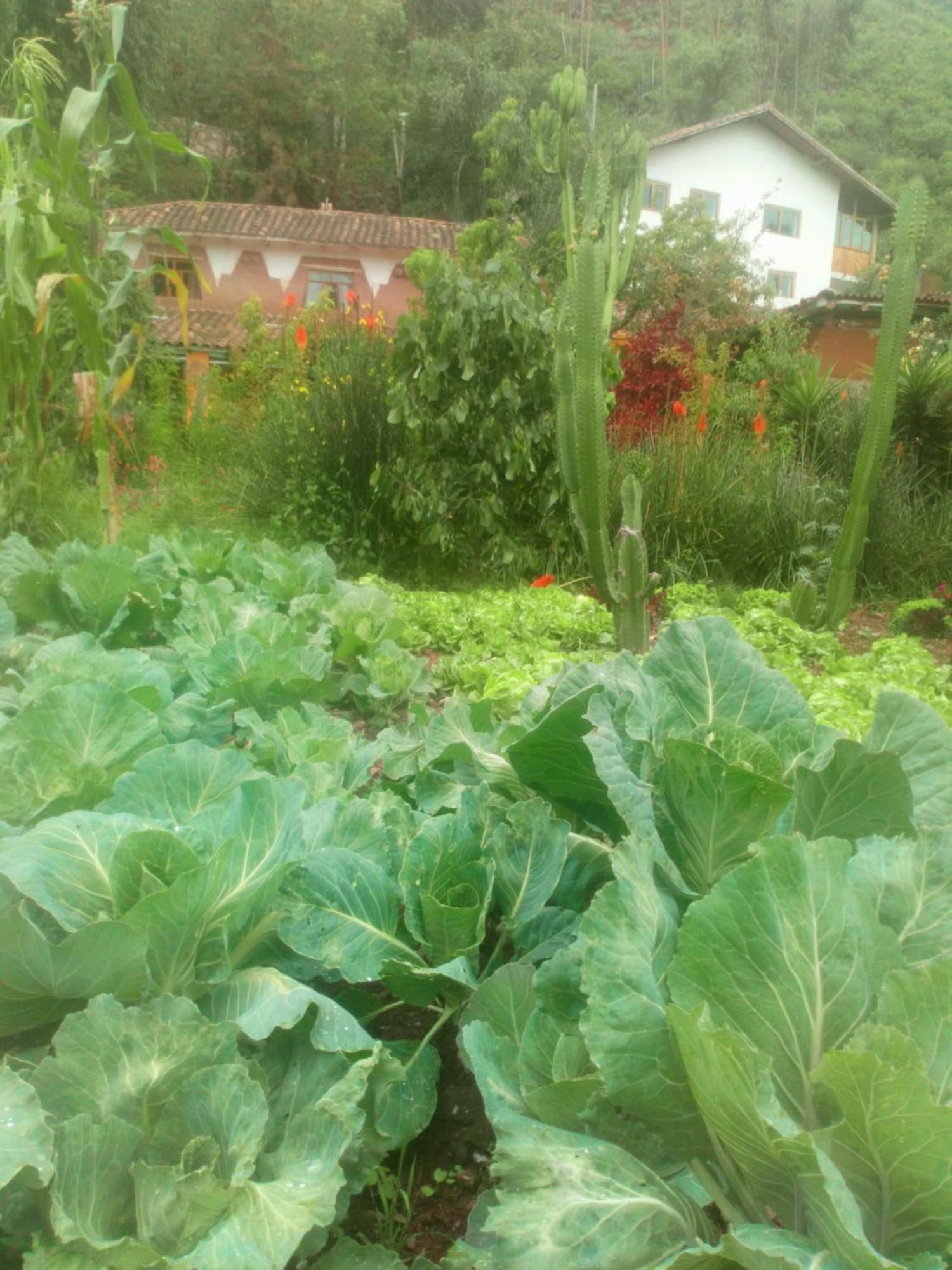 Ecolodge Ccatan 乌鲁班巴 外观 照片
